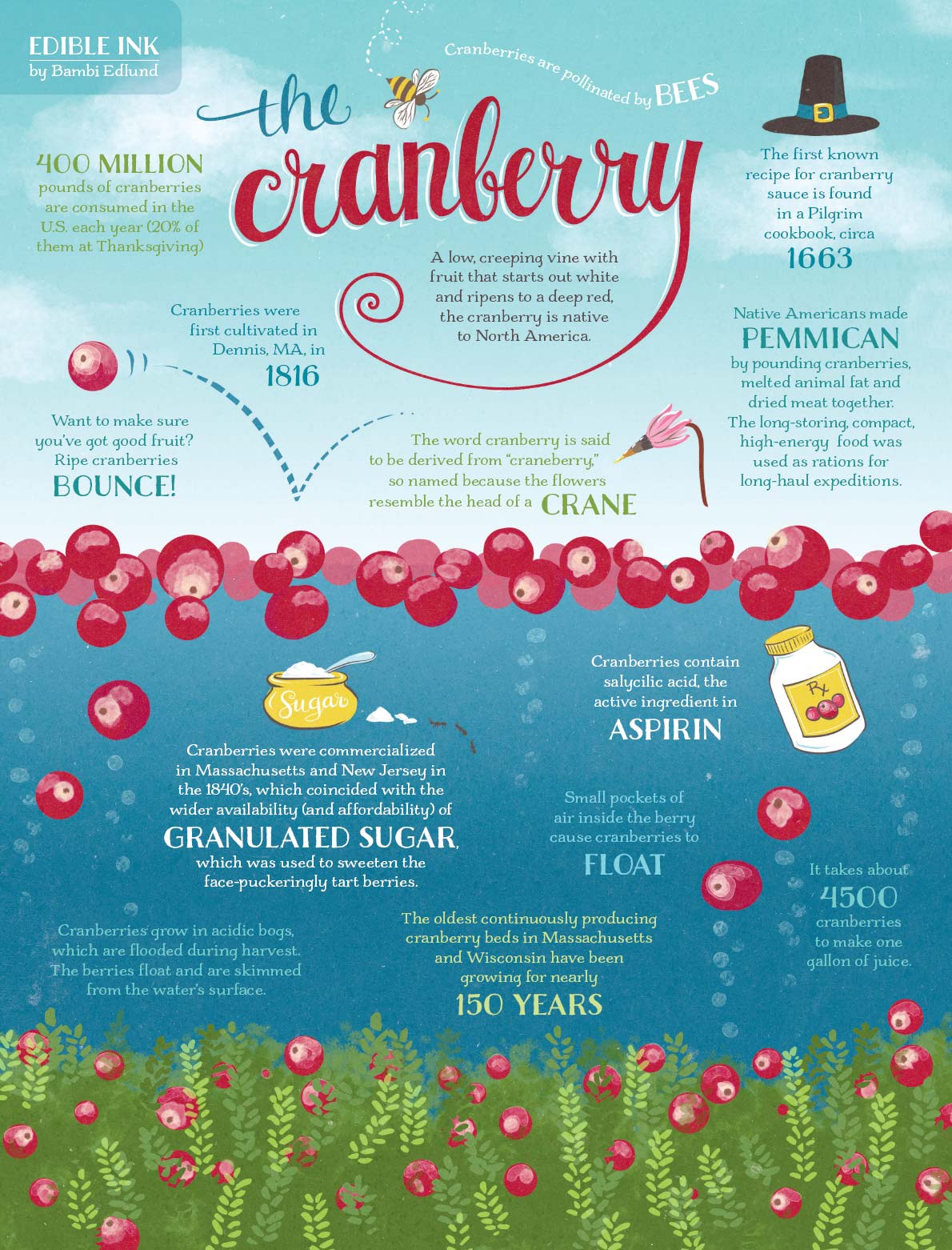 the cranberry